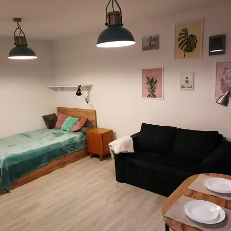 Apartament Orlowska